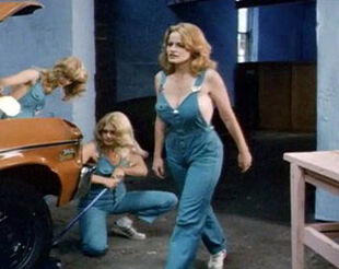 Garage Chicks (1981)