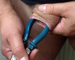 Massive pliers with foreskin - 4 vids